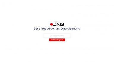 DNS Diagnosis