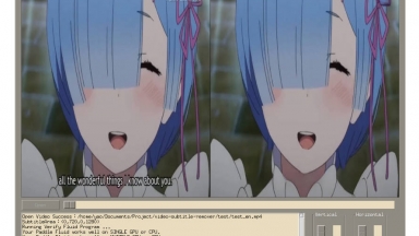 Video subtitle remover