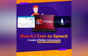 Voicely gallery image