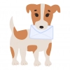 MailBuddy