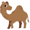 Camel AGI