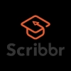 Scribbr AI Detector