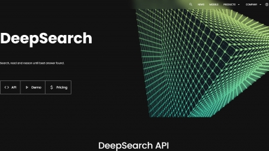 Jina DeepSearch API