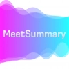 Meetsummary