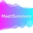 Meetsummary
