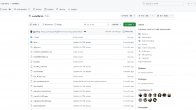 Codellama 70b python
