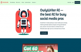 OwlyWriter AI by Hootsuite gallery image
