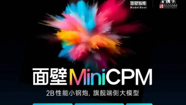MiniCPM-2B