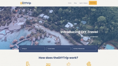 TheDIYtrip