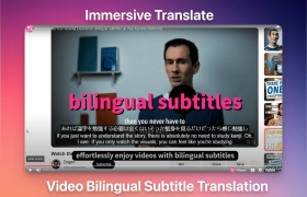 Immersive Translate gallery image
