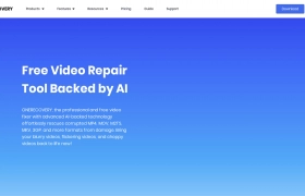 Video Repair by ONERECOVERY gallery image