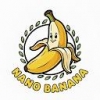 Nano-Banana AI
