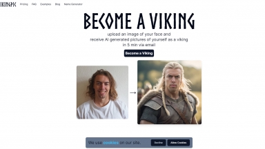 VikingPic