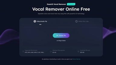 EaseUS Vocal Remover