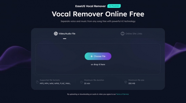 EaseUS Vocal Remover