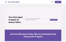 Your eCom Agent gallery image