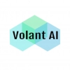 Volant AI