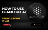 The Quickest Path to Becoming a Programmer Without Coding: Harnessing BlackBox AI for Problem-solving