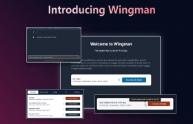 Wingman gallery image