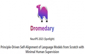 Dromedary gallery image