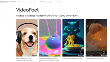 VideoPoet