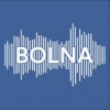 Bolna.ai