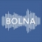 Bolna.ai logo