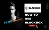Solving Programming Issues with BlackBox: Tips & Tricks Guide