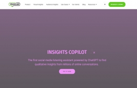 Insights Copilot by YouScan gallery image