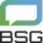 BSG AI Voice Bot logo