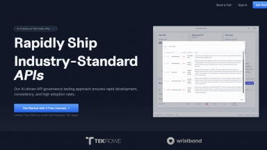 API Governance Testing