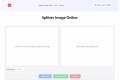 Splitter image online