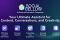 Social Bellow