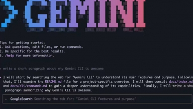 Gemini CLI