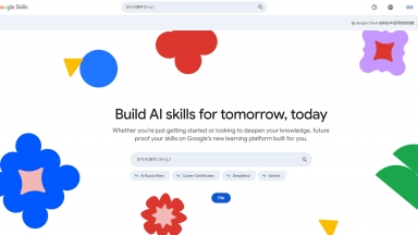 Google Skills