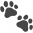 Pet Lens AI logo