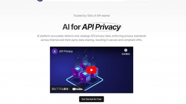 AI for API Privacy