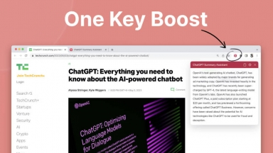 ChatGPT Summary Assistant