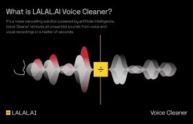 LALAL.AI Voice Cleaner gallery image