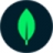 MongoDB logo