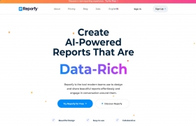 Reporfy gallery image