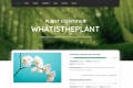 Whatistheplant