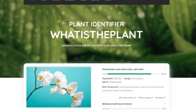 Whatistheplant